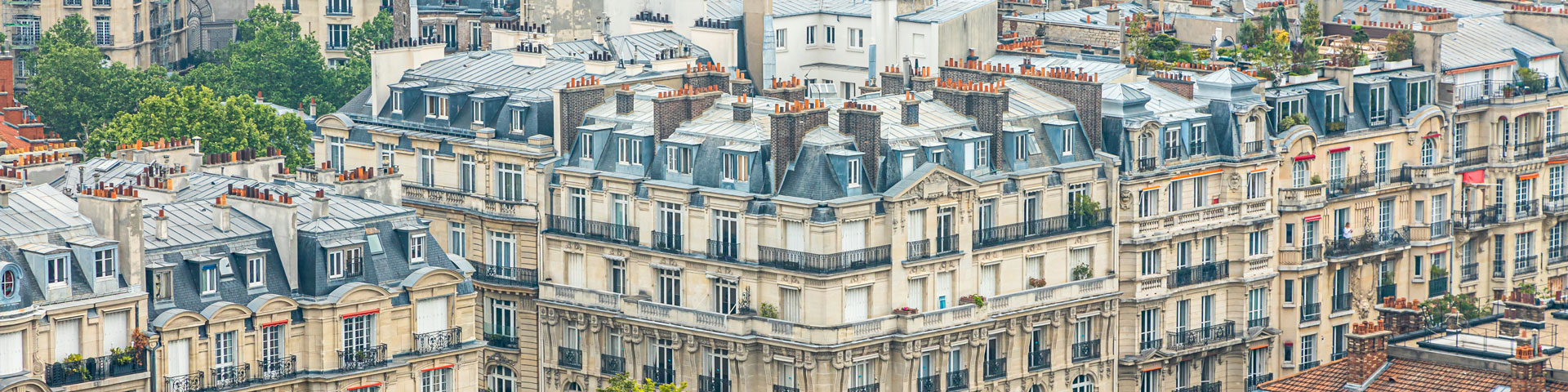 Vue aérienne des toits de Paris, avec des appartements haussmanniens